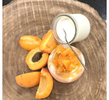 Crème glacé au yaourt ardechois